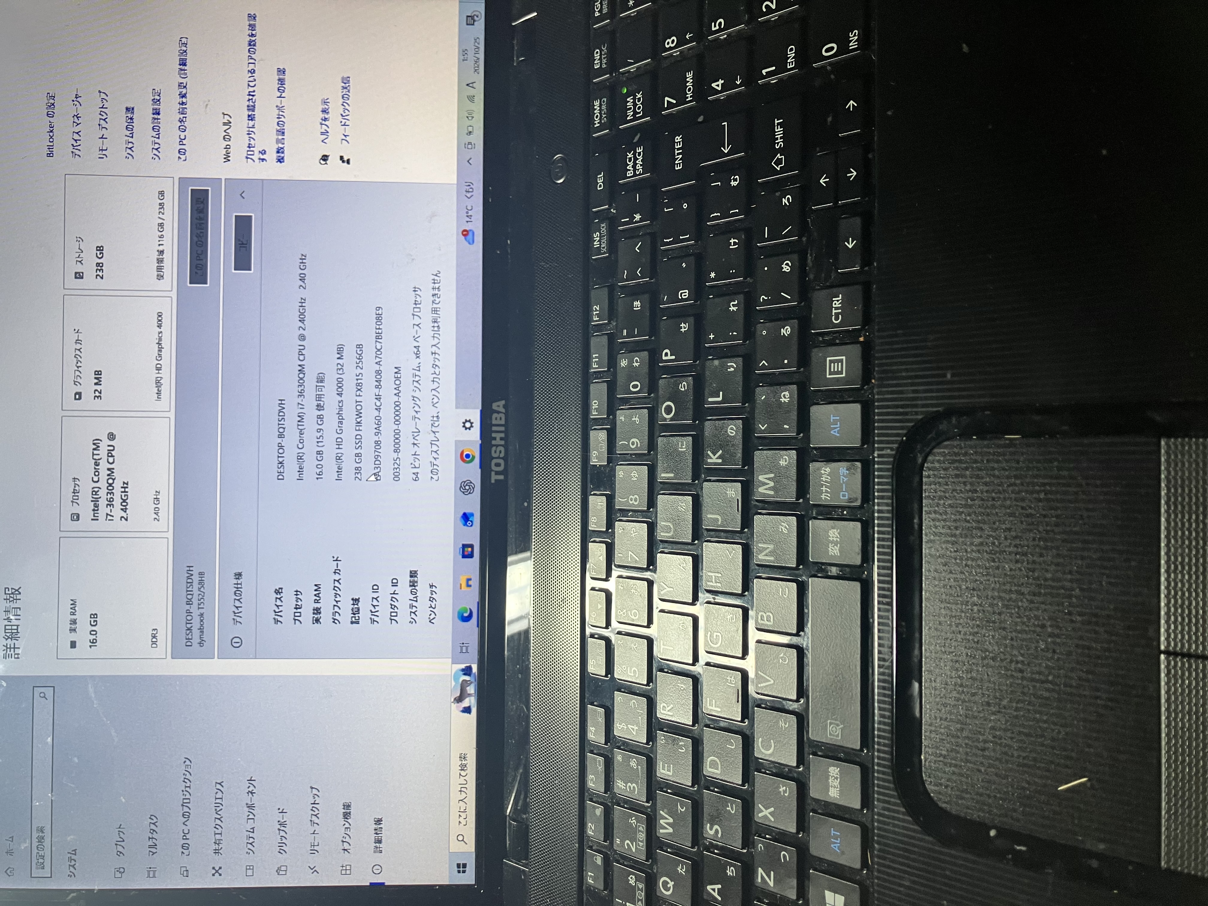 IMG_0231.jpeg